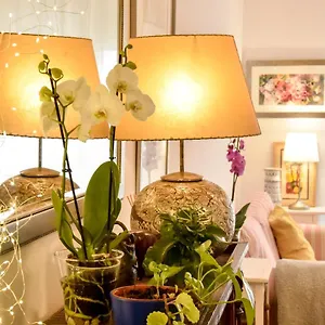 https://your-home-in-seville.es-andalucia.com